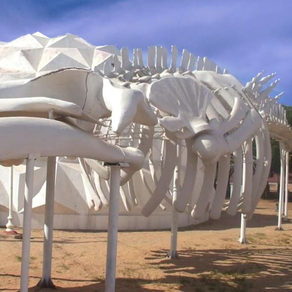Visitar el Museo Comunitario de la Ballena Gris en La Paz